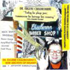 New Archive Of Insanity - Chadbourne Barber Shop cover